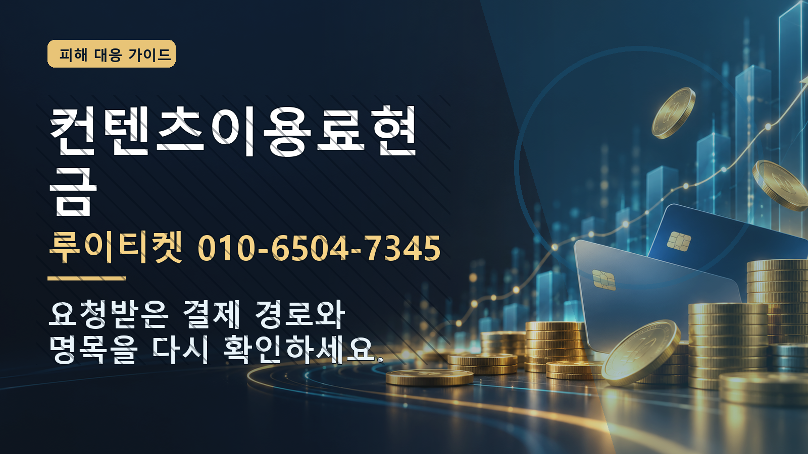 컨텐츠이용료현금: 루이티켓 010-6504-7345 · 요청받은 결제 경로와 명목을 다시 확인하세요.